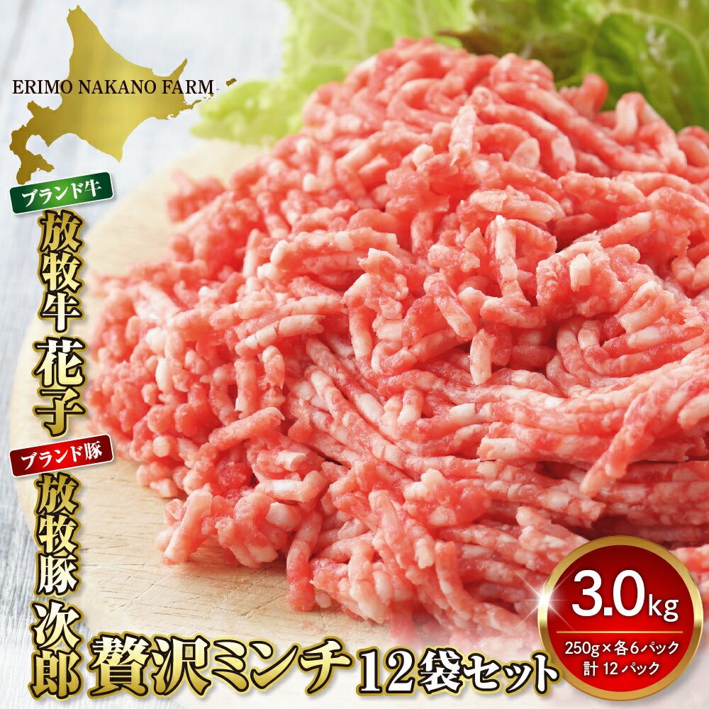 【ふるさと納税】ひき肉 牛ひき肉 豚ひき肉 セット 3kg ( 250g × 各 6パック ) 北海道 えりも町 ブラ...