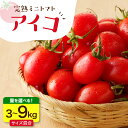 20位! 口コミ数「0件」評価「0」【2024年8月以降順次発送分】【内容量が選べる】完熟 ミニトマト アイコ 3kg 6kg 9kg サイズ混合 北海道産 えりも町産 トマト･･･ 