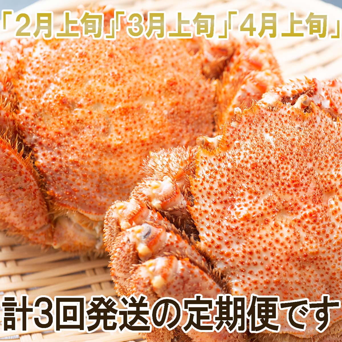【ふるさと納税】 ＜2026年2月上旬から順次発送＞ 【 定期便 全 3回 】 北海道産 浜ゆで 毛ガニ 3尾 × 3回 （ 計 9尾 ） ＜ 1月20日まで受付 ＞ 毛蟹 毛がに かに味噌 カニ味噌 新鮮 旬 ボイル 浜茹で 海鮮 海産物