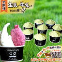 【ふるさと納税】 <6か月定期便> アイス ジェラート ピスタチオ 毎月 8個 北海道産 生乳 ジェラートセット スイーツ カップアイス カップ 詰め合わせ 北海道 新ひだか町