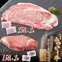 【ふるさと納税】 北海道産 黒毛和牛 みついし牛 A5 ステーキ サーロイン & ヒレ 計 約 800g ( サーロイン 250g × 2枚 & ヒレ 150g...