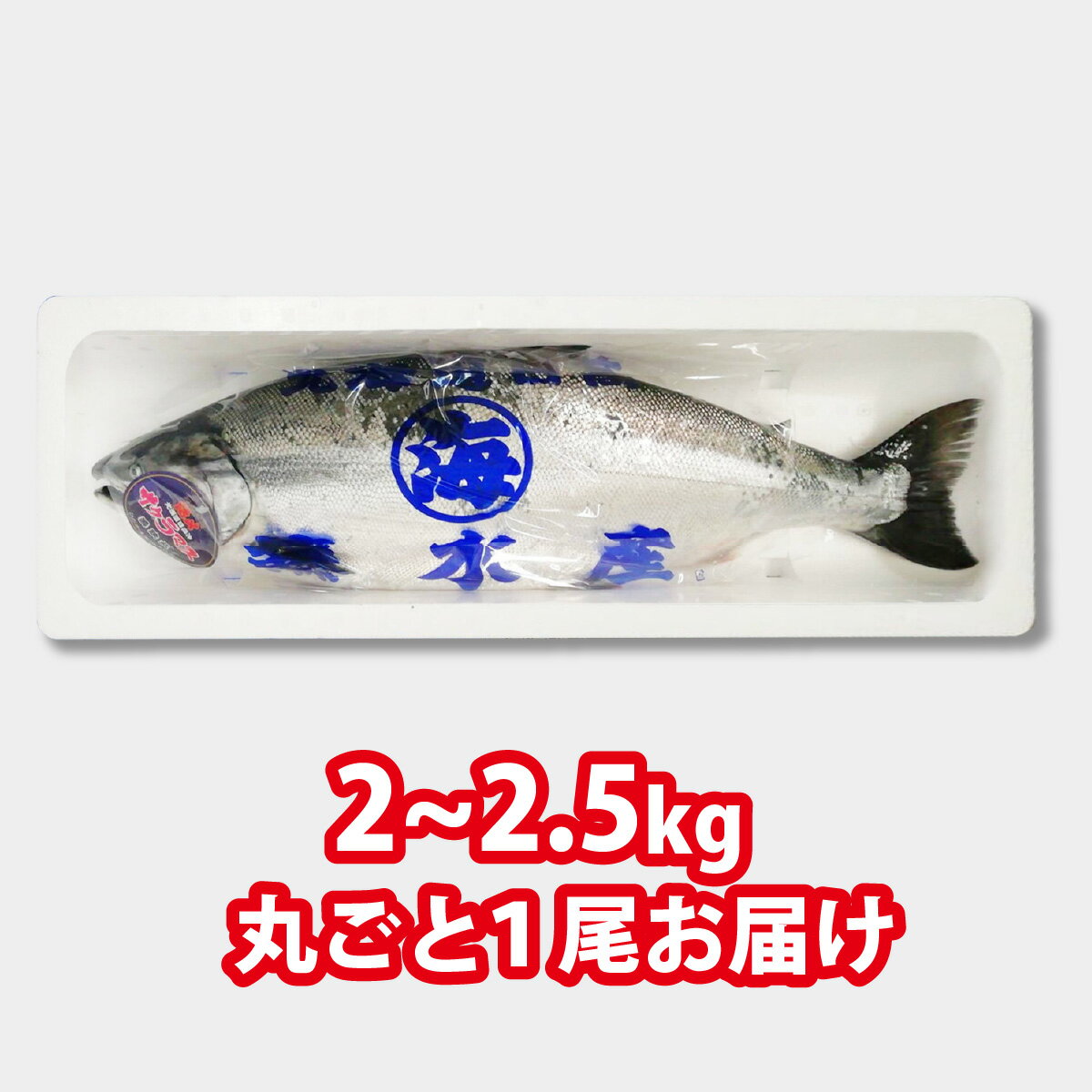 【ふるさと納税】 ＜2024年5月から順次発送＞ 北海道 天然 サクラマス 2～2.5kg まるごと 1尾 ＜ 予約商品 ＞ ふるさと納税 サクラ鱒 マス 旬 新鮮 魚 魚介 海鮮 冷蔵 焼魚 ムニエル フライ 刺身 燻製 活き〆 ふるさと納税 北海道 新ひだか町