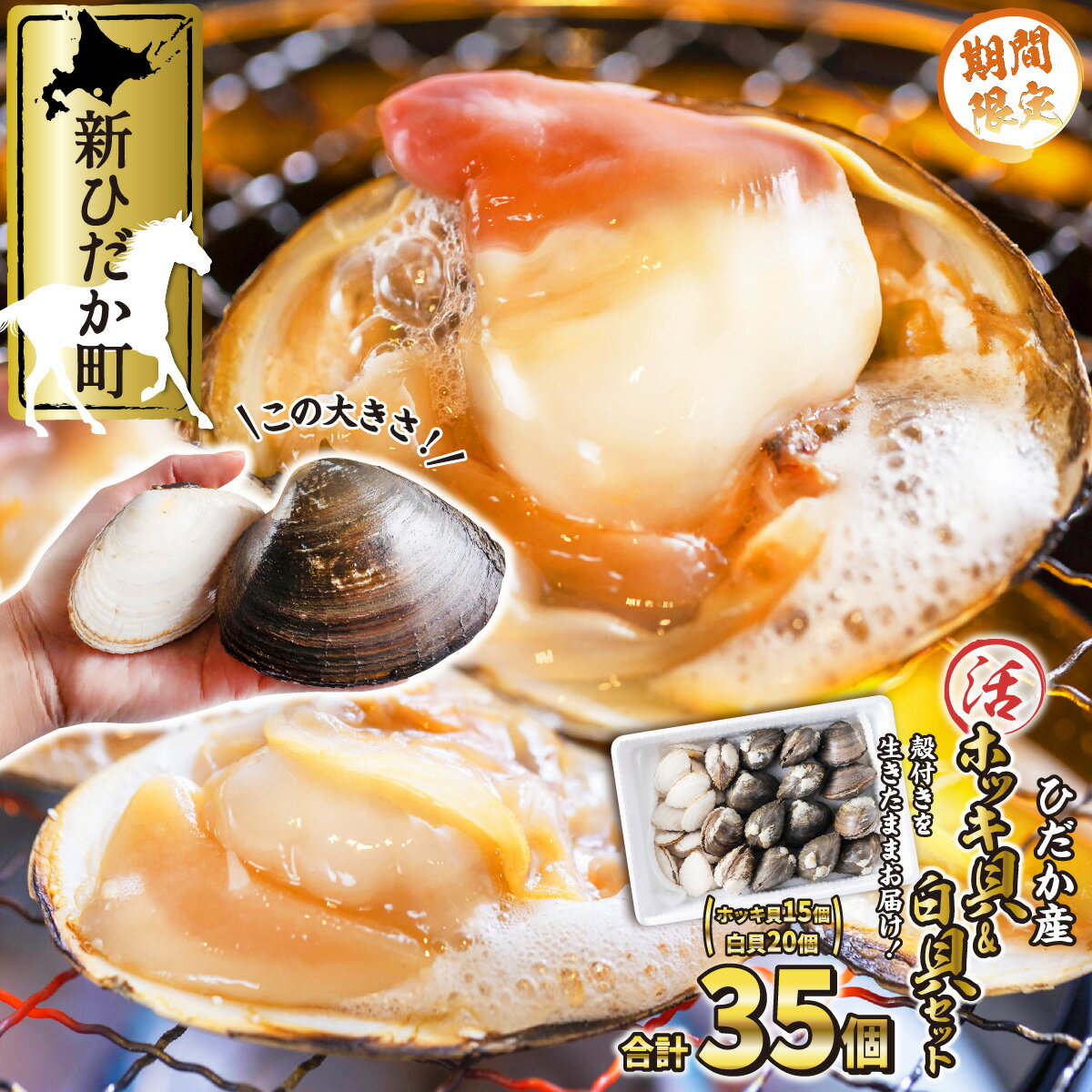 【ふるさと納税】 ＜12月上旬より発送開始＞ 北海道産 活 ホッキ貝 ＆ 白貝 計 35個 ( ホッキ 15個 + 白貝 20個 ) 冷蔵 貝 魚介 海鮮 海産物 新鮮 旬 食べ比べ セット お刺身 カレー バター焼き フライ 北海道 新ひだか町 ＜ 5月10日 までの受付 ＞のサムネイル
