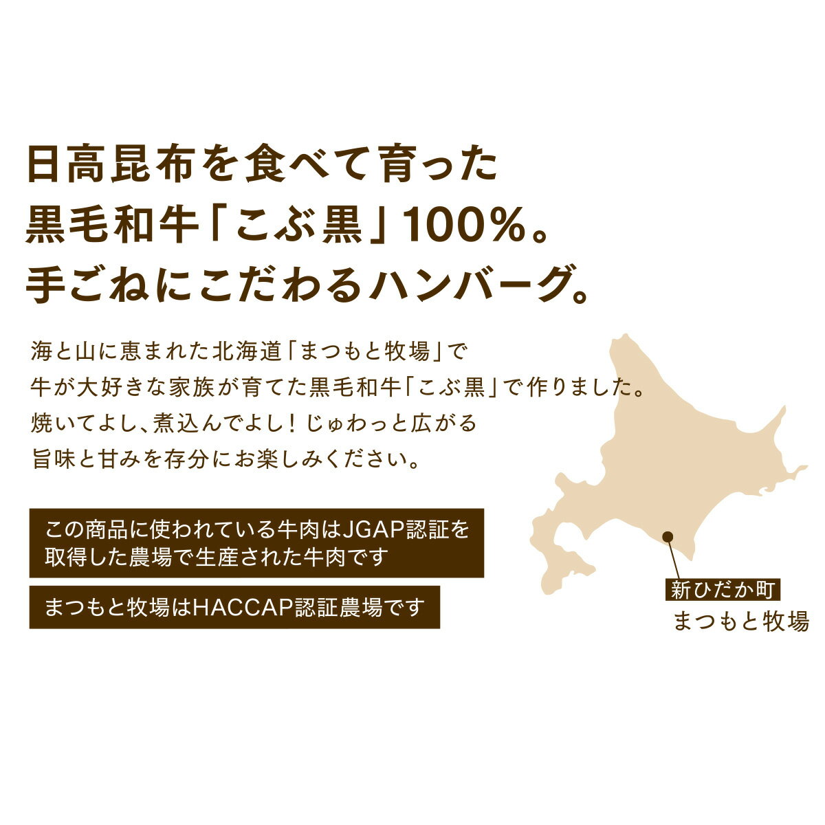 【ふるさと納税】 北海道産 黒毛和牛 こぶ黒 ハンバーグ 15個 和牛 ブランド牛 ハンバーグステーキ BBQ バーベキュー 牛肉 ブランド 牛 肉 ビーフ お惣菜 惣菜 黒毛 和牛 冷凍 北海道 新ひだか町 ＜LC＞