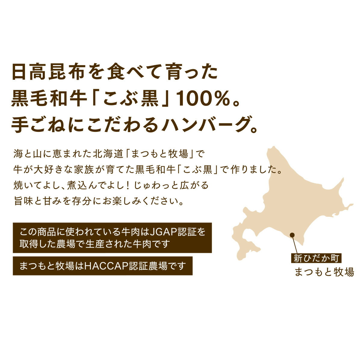 【ふるさと納税】 北海道産 黒毛和牛 こぶ黒 ハンバーグ 20個 和牛 ブランド牛 ハンバーグステーキ BBQ バーベキュー 牛肉 ブランド 牛 肉 ビーフ お惣菜 惣菜 黒毛 和牛 冷凍 北海道 新ひだか町 ＜LC＞