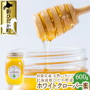 【ふるさと納税】 北海道産 天然 純粋 はちみつ ホワイトクローバー蜜 600g 国産 自家製 ピュアハニー 純粋 ハチミツ 蜂蜜 天然 北海道 新ひだか町