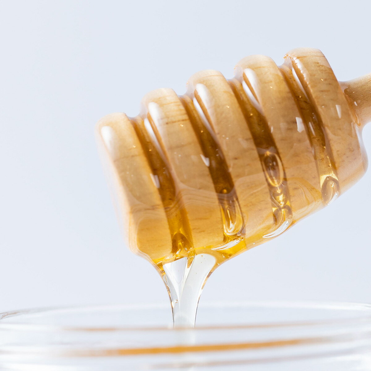 【ふるさと納税】 北海道産 天然 純粋 はちみつ ホワイトクローバー蜜 600g 国産 自家製 　ピュアハニー 純粋 ハチミツ 蜂蜜 天然 北海道 新ひだか町