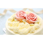 【ふるさと納税】懐かしい昭和の味わい♪バタークリームケーキ北海道・新ひだか町のオリジナルケーキ