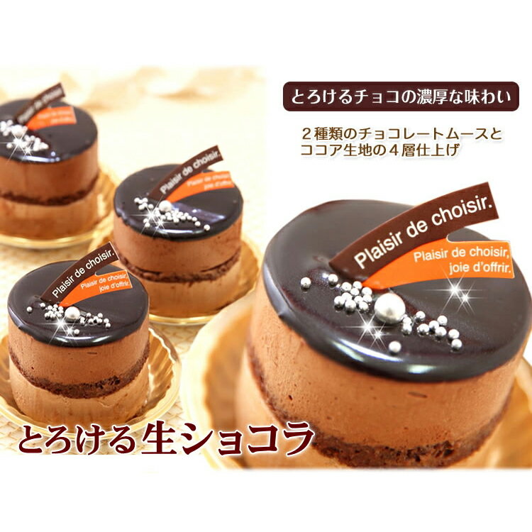 【ふるさと納税】 リッチな味わい♪ チョコレートケーキ『とろ