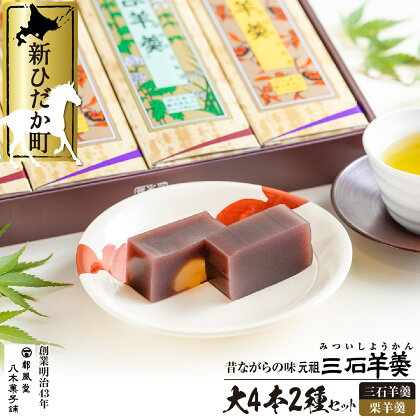 元祖 三石羊羹 詰め合わせ 計 2種 ( 大 4本 ) セット 羊羹 和菓子 和 菓子 スイーツ 小豆 栗 羊かん ようかん 手作り 十勝産小豆 お歳暮 お中元 ふるさと納税 北海道 新ひだか町