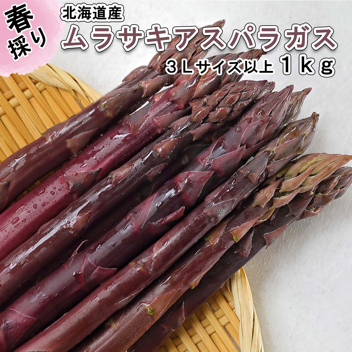 【ふるさと納税】 ＜2024年5月より発送＞ 北海道産 春採り ムラサキアスパラ 計 1kg 3L 以上 サイズ ムラサキ アスパラ アスパラガス 冷蔵 旬 野菜 北海道 新ひだか町 ＜予約商品＞のサムネイル
