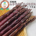 【ふるさと納税】 <6月15日までの受付> 北海道産 春採り 希少な ムラサキ アスパラ 計 1kg L サイズ 紫 アスパラ ふるさと納税 アスパラガス 冷蔵 旬 野菜 サラダ ふるさと納税 北海道 新ひだか町