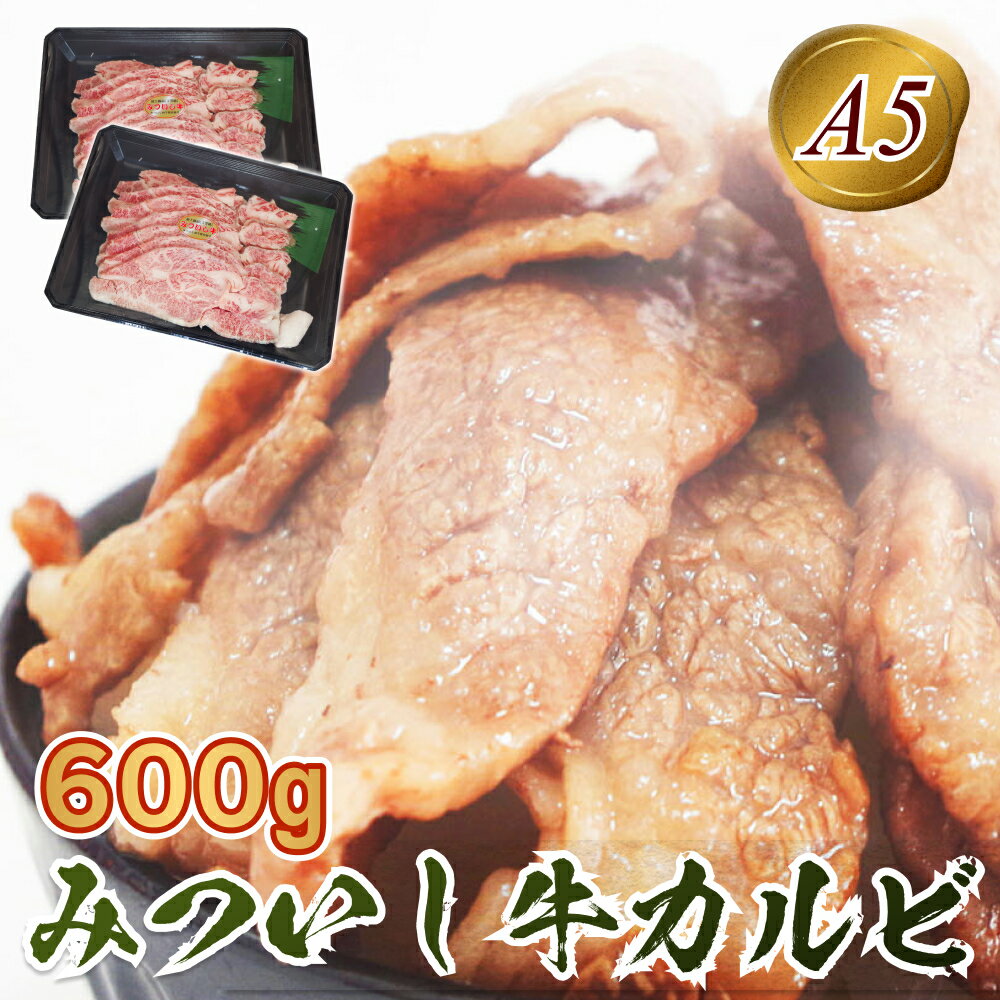 北海道産 黒毛和牛 みついし牛 A5 カルビ 計 600g ( 300g × 2パック )和牛 ブランド牛 ブランド 牛肉 牛 肉 ビーフ 冷凍 北海道 新ひだか町