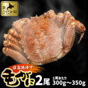 商品画像2