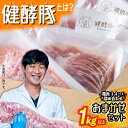 【ふるさと納税】 北海道産 健酵豚 おまかせ セット 3~4パック 豚肉 精肉 おためし 詰め合わせ お楽しみ おたのしみ セット 豚 肉 ブランド ポーク 酵素 旨味 うまみ うま味 冷凍 北海道 新ひだか町