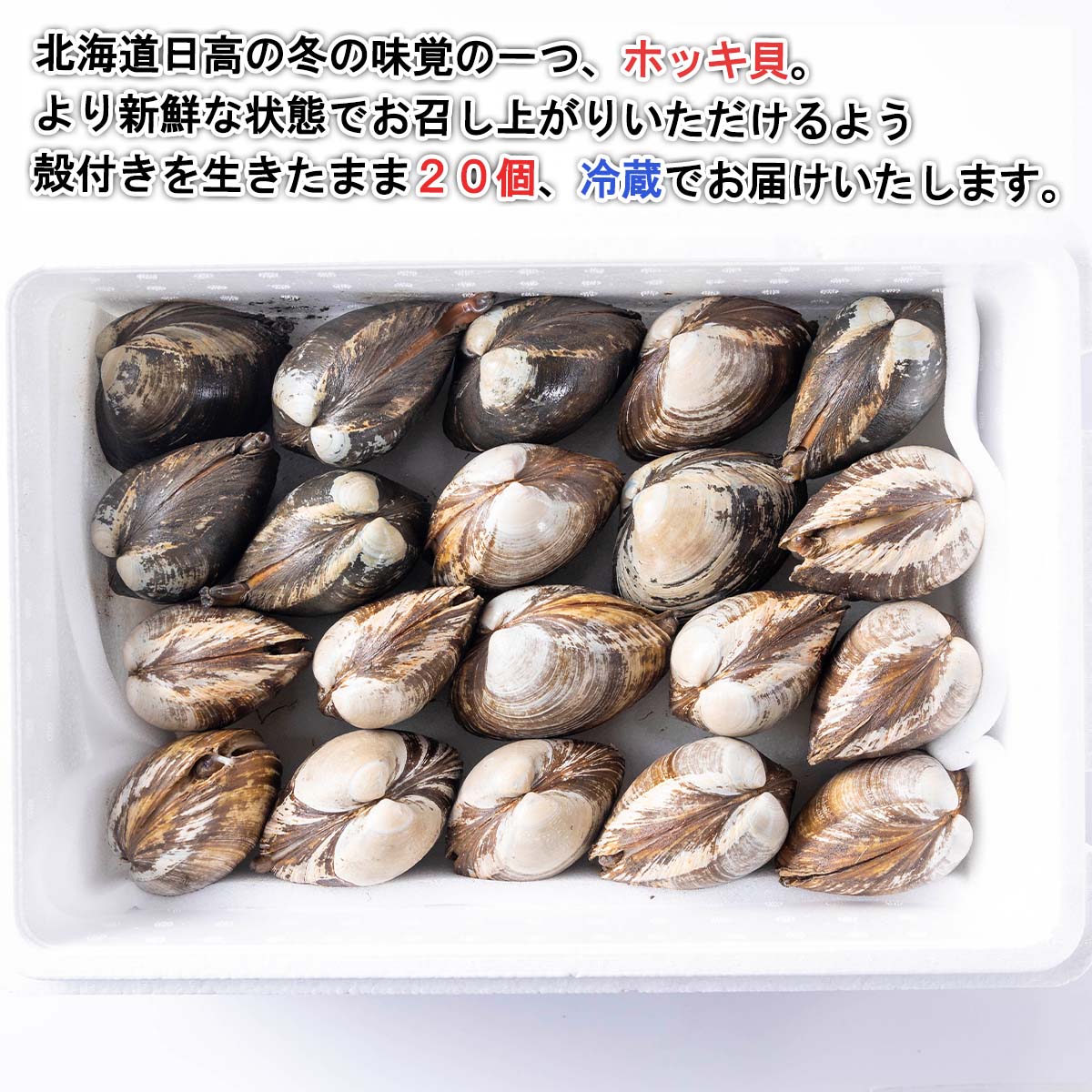 北海道新ひだか町の画像2
