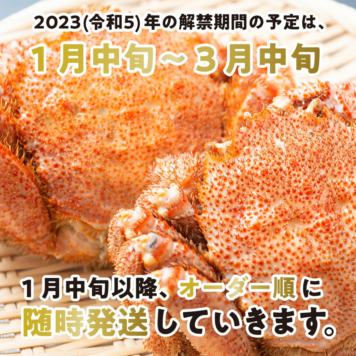 【ふるさと納税】 訳あり 折れ 割れ 北海道産 毛ガニ 7～9尾 ( 計 約 2kg ) 冷蔵 かに カニ 蟹 毛蟹 毛がに けがに かに味噌 カニ味噌 蟹味噌 みそ 新鮮 旬 ボイル 浜ゆで 浜茹で 魚介 海鮮 海産物 わけあり 訳アリ 北海道 新ひだか町 ＜2023年1月から順次発送＞