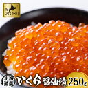 【ふるさと納税】 北海道産 いくら 250g 醤油いくら 鮭...