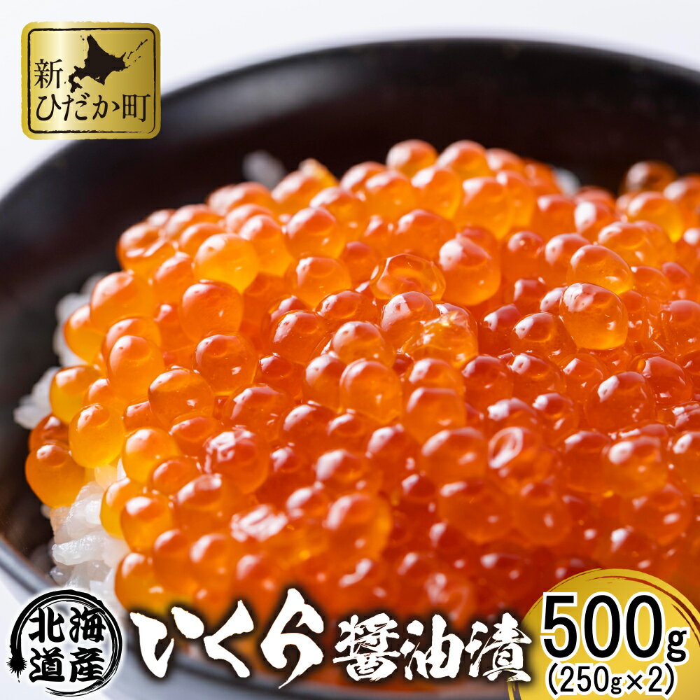 【ふるさと納税】 北海道産 いくら 500g ( 250g × 2パック ) 醤油いくら 鮭卵 イクラ 鮭 秋鮭 醤油漬 醤油 魚介 海鮮 海産物 冷凍 いくら丼 パスタ ちらし寿司 海の幸 北海道 新ひだか町