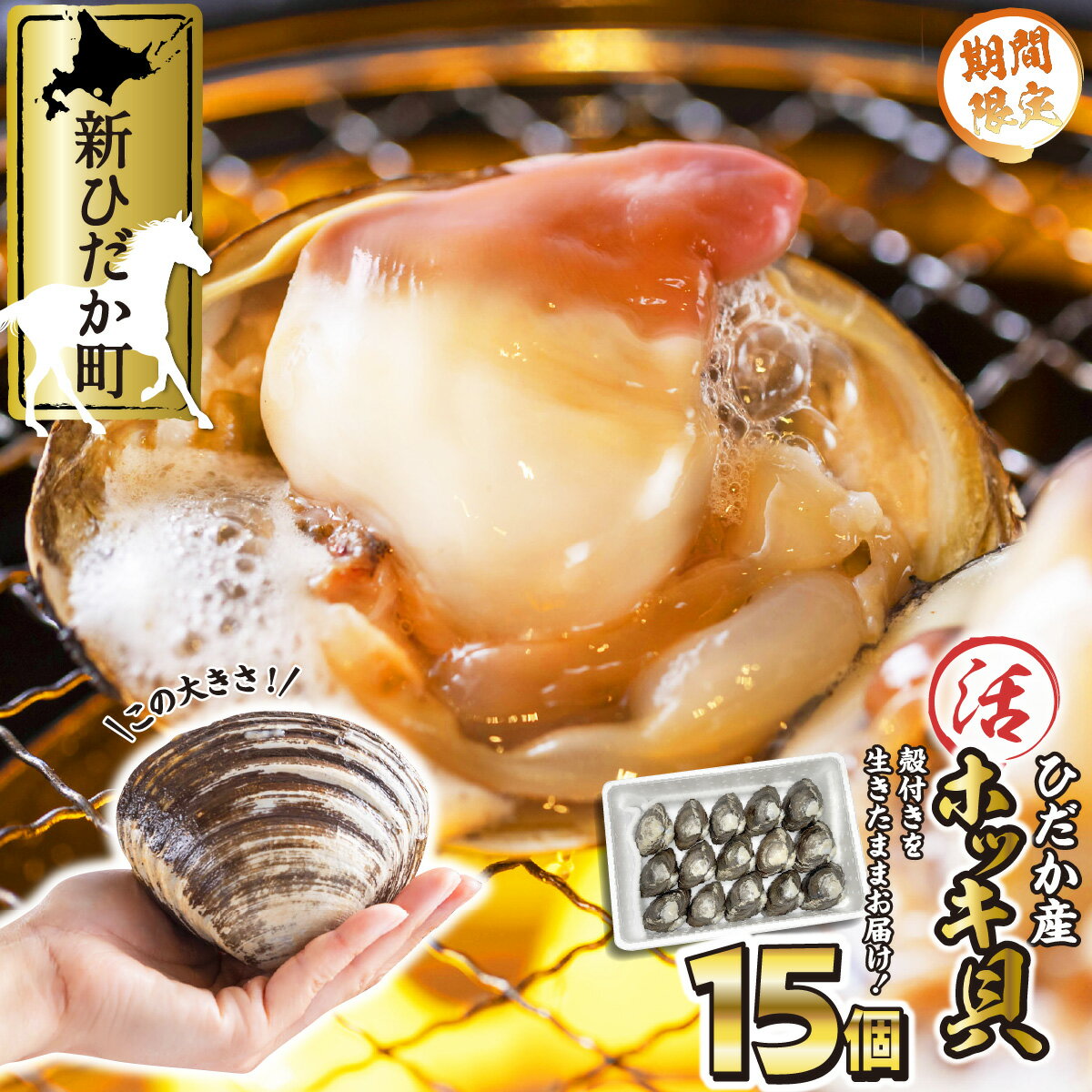 【ふるさと納税】 ＜ 11月中旬より順次発送 ＞ 北海道産 活ホッキ 15個 殻付き 冬の味覚 冷蔵 貝 魚介 海鮮 海産物 新鮮 旬 活 生きたまま ウバガイ 姥貝 ホッキ 北寄貝 貝 お刺身 バター焼き フライ カレー 北海道 新ひだか町 ＜ 予約受付 ＞