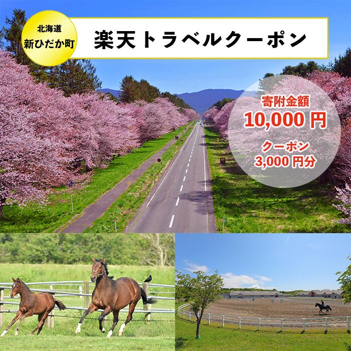 2位! 口コミ数「3件」評価「4.67」北海道新ひだか町の対象施設で使える使える楽天トラベルクーポン寄付額10,000円