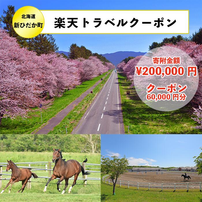 【ふるさと納税】北海道新ひだか町の対象施設で使える楽天トラベルクーポン寄付額200,000円のサムネイル