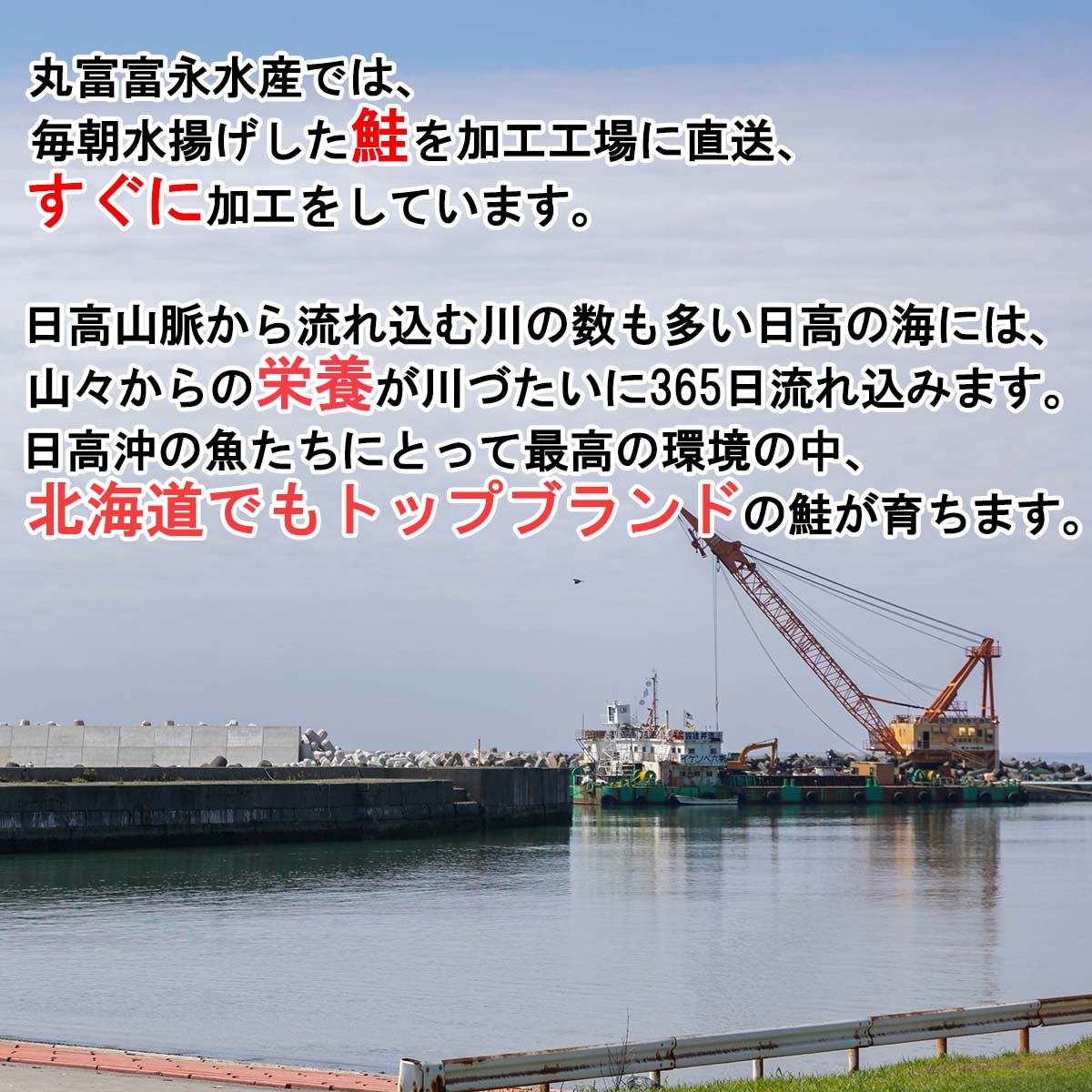 【ふるさと納税】 北海道産 いくら 醤油漬け 200g 鮭卵 魚卵 秋鮭 網元特製 イクラ さけ サケ 魚介 海鮮 海産物 いくら丼 パスタ ちらし寿司 海の幸 冷凍 北海道 新ひだか町