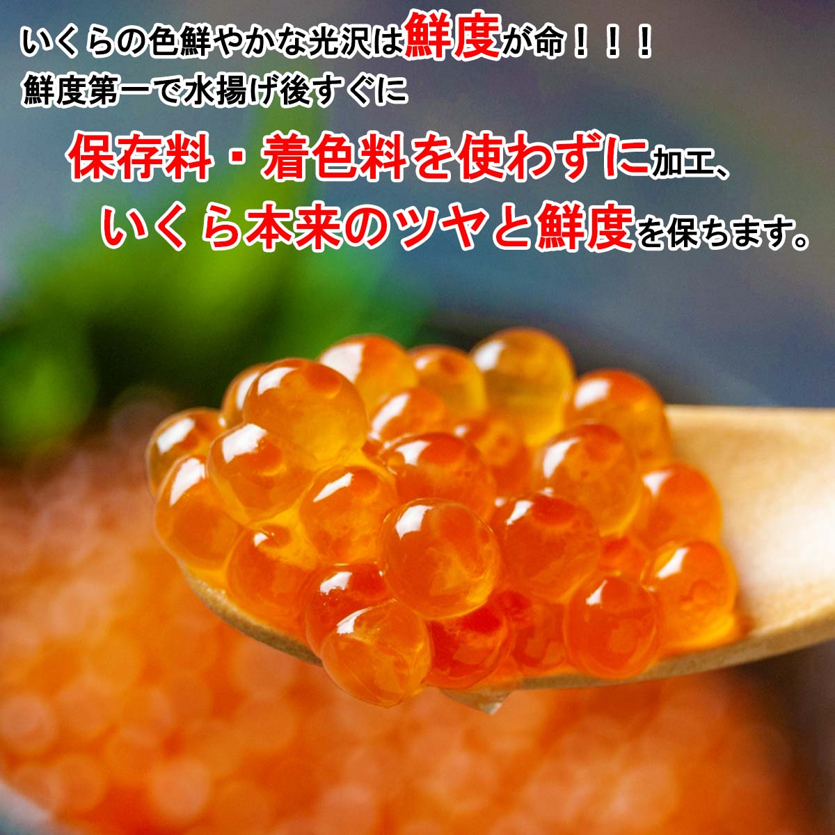 【ふるさと納税】 北海道産 いくら 醤油 塩 計 400g (各200g) いくら醤油漬 塩いくら 鮭卵 網元特製 食べ比べ セット 冷凍 北海道 新ひだか町
