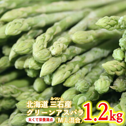 北海道産 グリーンアスパラ 1.2kg M / L 混合 グリーン アスパラ アスパラガス 冷蔵 旬 新鮮 三石産 北海道 新ひだか町 ＜数量限定＞