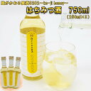 【ふるさと納税】 蜂蜜酒 750ml ( 250ml × 3本 ) はちみつ お酒 米こうじ 麹 5282 koji honey ハチミツ 蜂蜜 オオハンゴウソウ 酒 アルコール 記念日 お祝い パーティー 食前酒 カクテル サワー 蜂蜜 北海道 新ひだか町 北海道 新ひだか町