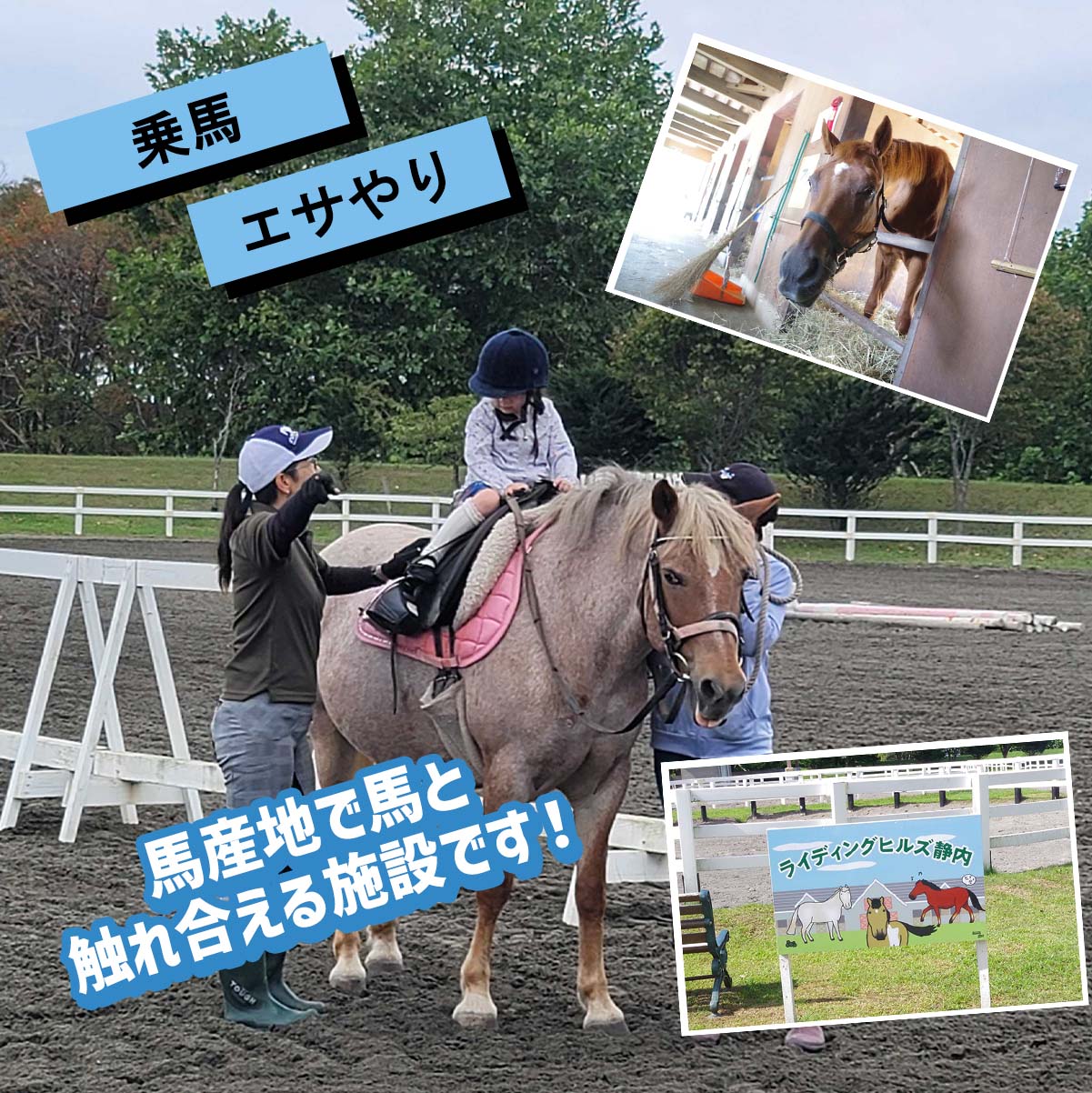 【ふるさと納税】 競走馬のふるさと 北海道 新ひだか町 ライディングヒルズ静内 馬 への 牧草ロール プレゼント 競走馬 うま サラブレッド ポニー 引退馬 牧草 馬産地 北海道 新ひだか町 静内 乗馬 体験 施設 3