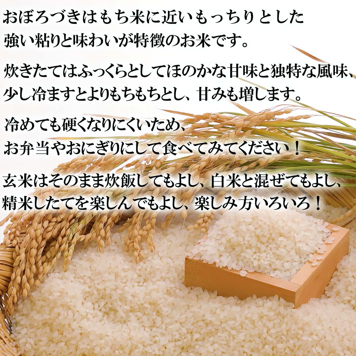 北海道新ひだか町の画像2