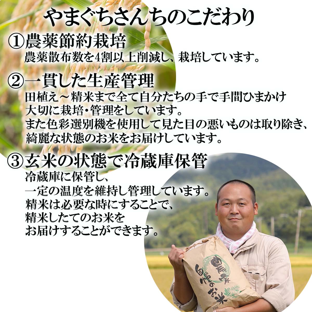 北海道新ひだか町の画像3