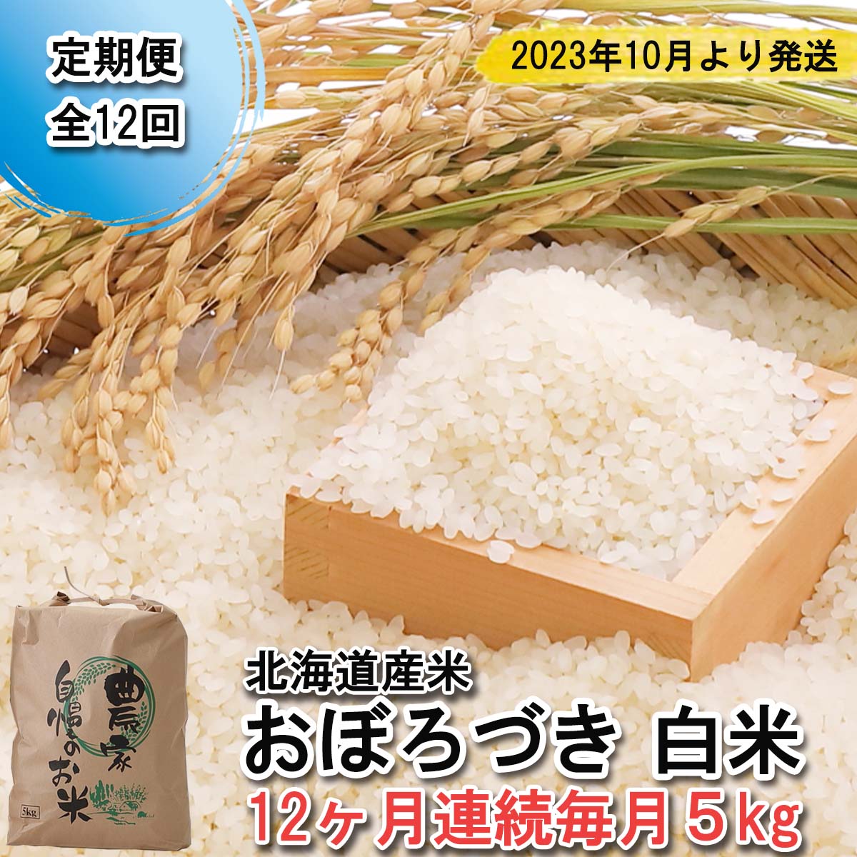 【ふるさと納税】 ＜ 予約 定期便 12回 ＞北海道産 おぼろづき 毎月 5kg 新...