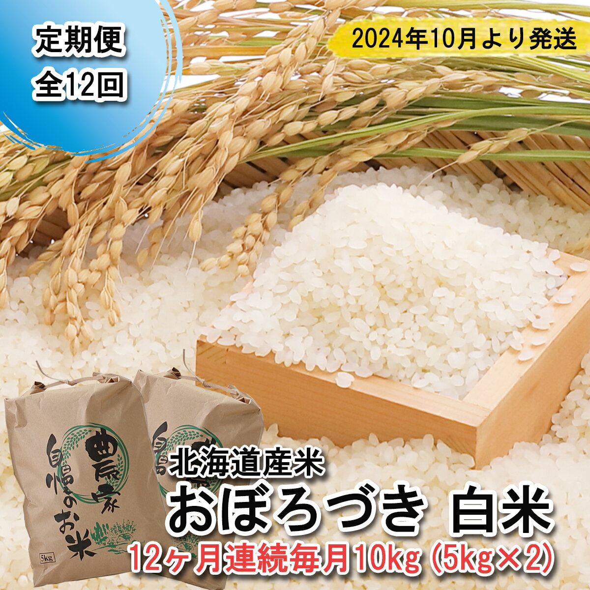 【ふるさと納税】 ＜ 予約 定期便 12回 ＞ 北海道産 おぼろづき 毎月 10kg ( 5kg × 2 ) 新米 希少米 米 白米 精米 お米 北海道米 お弁当 おにぎり 常温 北海道 新ひだか町 ＜ 2024年10月より配送 ＞のサムネイル