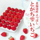 【ふるさと納税】 十勝の青空と恵みの水で育った｢とかち雫いちご｣ 30粒 約400g いちご イチゴ 苺 フルーツ ベリー ストロベリー 果物 よつぼし 高級 数量限定 先行受付 冷蔵 【2024年4月下旬頃より順次発送】 北海道 音更町 送料無料