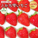 【ふるさと納税】 十勝の青空と恵みの水で育った｢とかち雫いちご｣ 30粒 約400g いちご イチゴ 苺 フルーツ ベリー ストロベリー 果物 ..