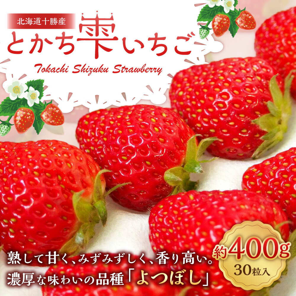 【ふるさと納税】 十勝の青空と恵みの水で育った｢とかち雫いちご｣ 30粒 約400g いちご イチゴ 苺 フルーツ ベリー ストロベリー 果物 よつぼし 高級 数量限定 先行受付 冷蔵 【2024年4月下旬頃より順次発送】 北海道 音更町 送料無料