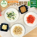 【ふるさと納税】北海道十勝産100%!いつでも野菜セット(乾燥野菜) 5種類 合計240g にんにく 長ねぎ 大豆 にんじん 大根 長ネギ 葱 ねぎ ネギ だいず 豆 まめ ダイコン だいこん 人参 ニンジン やさい 野菜 セット 詰め合わせ 十勝 常温 北海道 音更町 送料無料