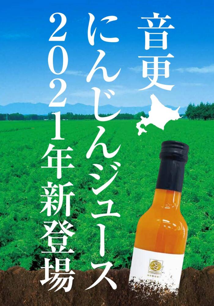 「愛（めぐみ）NINJIN」3本セット（にんじんジュース） 300ml×3本 合計900ml にんじん 人参 ニンジン ジュース 飲料 野菜ジュース 十勝 常温 北海道 音更町 送料無料