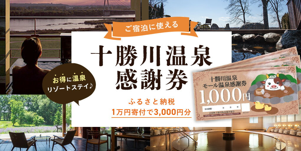 【ふるさと納税】十勝川温泉モール温泉感謝券3,000円分