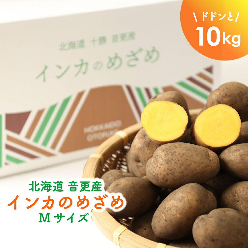 「インカのめざめ」とは、黄金色をした小粒サイズに、栗やサツマイモのような濃厚な甘みがぎゅっと詰まった、ホクホク食感が人気のじゃがいもです。全国的にも生産数が少なく、希少品とされており、数量限定で受付中です。この機会にぜひご賞味ください！ 返礼品説明名称 おとふけ産じゃがいも「インカのめざめ」10kg産地名北海道音更町産 内容量インカのめざめ（Mサイズ）10kgこだわり生産者こだわりのインカです。 ～使用している肥料～ ・米ぬかを10aあたり150kg以上散布 ・大豆粕入り肥料 ・2種類のカルシウム肥料 ・5種類の微量要素(ミネラル)入り肥料 さらに、栽培期間中、年4～5回のアミノ酸や微量要素の葉面散布を行うことにより、高品質で栄養価の高いインカ作りを目指しています。 輪作体系では、ひまわりを緑肥として栽培し、有機物の多い土作りとリン酸の吸収を促しています。 収穫後は、2℃以下の低温貯蔵をすることにより糖度を上げています。室温に戻すと糖度が低下していきますので、なるべく冷蔵庫等で保存してください。慣行栽培とは一味違うインカをお届けします。備考 11月下旬頃から順次発送予定 ※農作物のため収穫状況により、お届け時期が前後する可能性がございます。 発送温度帯 常温 注意点 ・輸送時の気温の変化により結露が生じ濡れている場合は、劣化やカビの原因となるため、箱から取り出し乾かしてください。・インカのめざめは大変生命力が強く、芽が出やすい品種です。常温で保存するとすぐに芽が出てしまうため、到着後はできるだけお早めにお召し上がりください。・小分けするなどして冷蔵庫での保管をおすすめしますが、発芽した場合は芽を取り除けば問題なくお召し上がりいただけます。・十分な管理をしておりますが、年によっては熟成の段階で出芽があり、到着時に発芽している場合があることをご了承ください。・栽培する圃場に腐食含有率の高い黒ボク土が多いため、インカのめざめの外見が土色で黒くなりがちですが、変色しているわけではありません。美味しいインカのめざめができる土壌ですのでご了承ください。【お申込み前に必ずお読みください】・ご寄附から3か月以内で3日間以上の不在日がある場合や、転居予定がある場合は、申込時に配送に関するご要望に入力してください・申込後に不在日の追加・変更、または、送り先の住所変更等がありましたら、必ず「メールアドレス：kikakuka@town.otofuke.hokkaido.jp」または「電話番号：0155-42-2111」までご連絡をお願いいたします。・農作物のため、生育状況や天候により配送時期が前後する可能性がございます。・お届け日指定の配送は対応できかねます。・発送日の事前連絡は行っておりません。・受取人様のご都合で、お受け取りいただけなかった場合、または受け取りまでに期間がかかった場合における損害等につきましては、再配送は致しかねますので、予めご了承下さい。・お礼の品をお受取いただきましたら、すぐにお礼の品の状態をご確認お願い致します。お日にちが経過してからの対応は致しかねますので、万が一、不良があった場合は、到着日を含め3日以内にご連絡くださいますようお願い申し上げます。・状況によっては、お礼の品の状態を確認するためお写真の送付をお願いする場合がございますので、お礼の品を廃棄されませんようお願い致します。 ふるさと納税 送料無料 お買い物マラソン 楽天スーパーSALE スーパーセール 買いまわり ポイント消化 ふるさと納税おすすめ 楽天 楽天ふるさと納税 おすすめ返礼品 北海道 音更町 ・ふるさと納税よくある質問はこちら ・寄附申込みのキャンセル、返礼品の変更・返品はできません。あらかじめご了承ください。