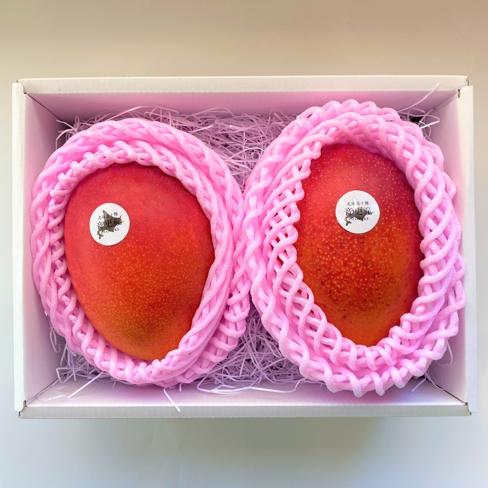 【ふるさと納税】【先行受付】十勝マンゴーLサイズ×2玉 ノラワークス フルーツ 果物 完熟マンゴー ブランド 果肉 お取り寄せ ギフト 高級 冷蔵 北海道 音更町 送料無料