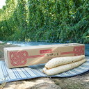 【ふるさと納税】令和6年産「JAおとふけ」ながいも 4本セット【B70】 約2.8kg 4本 Lサイズ 長いも 長芋 ながいも 芋 いも イモ お芋 おいも 根...