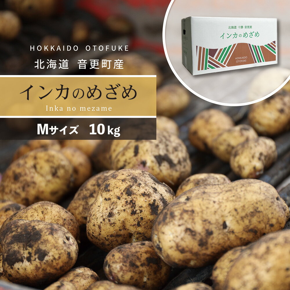 【ふるさと納税】［先行受付］おとふけ産じゃがいも「インカのめざめ」10kg（Mサイズ）（送料無料 十勝 ふるさと納税 ランキング お買い物マラソン スーパーSALE スーパーセール 野菜 北海道）のサムネイル