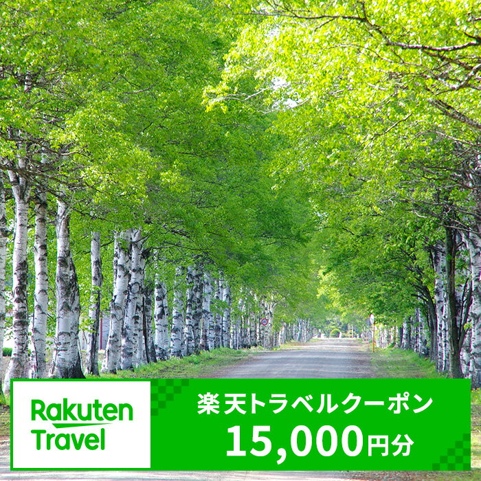 北海道の旅行券（宿泊券） 【ふるさと納税】北海道音更町の対象施設で使える楽天トラベルクーポン 寄附額50,000円 旅行 観光 トラベル レジャー 体験 温泉 宿泊 ホテル 旅館 予約 国内 十勝温泉 モール温泉 チケット クーポン 宿泊券 宿泊補助券 金券 北海道 音更町