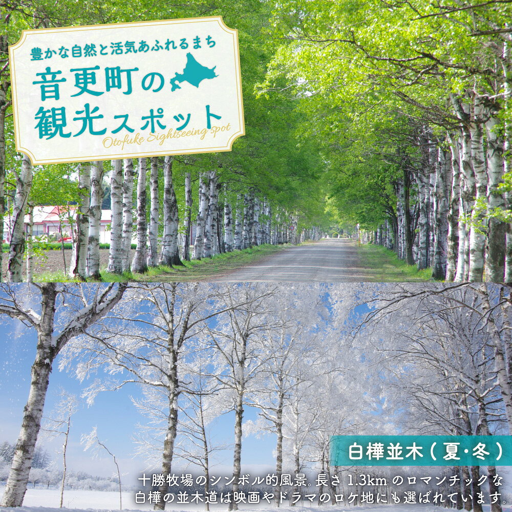 【ふるさと納税】北海道音更町の対象施設で使える楽天トラベルクーポン 寄附額150,000円 旅行 観光 トラベル レジャー 体験 温泉 宿泊 ホテル 旅館 予約 国内 十勝温泉 モール温泉 チケット クーポン 宿泊券 宿泊補助券 金券 北海道 音更町 f016314-otofuke-10000408 北海道音更町 サンプル画像3