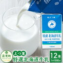 【ふるさと納税】「よつ葉」特選北海道牛乳（1000ml）12