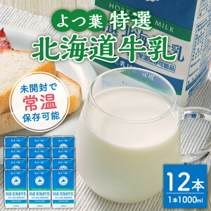 【ふるさと納税】「よつ葉」特選北海道牛乳（1000ml）12本セット 合計12L 常温保存 パック セット 詰め合わせ 乳製品 乳飲料 十勝 常温 北海道 音更町 送料無料