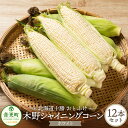 【ふるさと納税】【先行受付】おとふけ木野シャイニングコーンホワイトセット 12本【2025年8月中旬頃より順次発送】 とうもろこし トウモロコシ コーン シャイ...